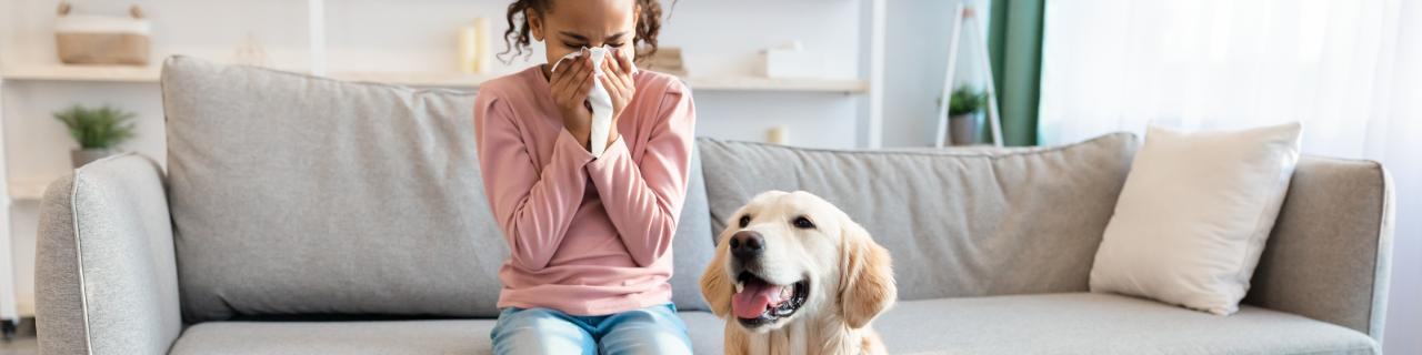 Young girl sneezing, suffering from nasal congestion. Animal allergy.